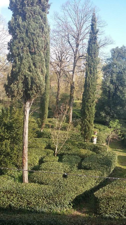 Apartment L'albero Di Garibaldi Florence