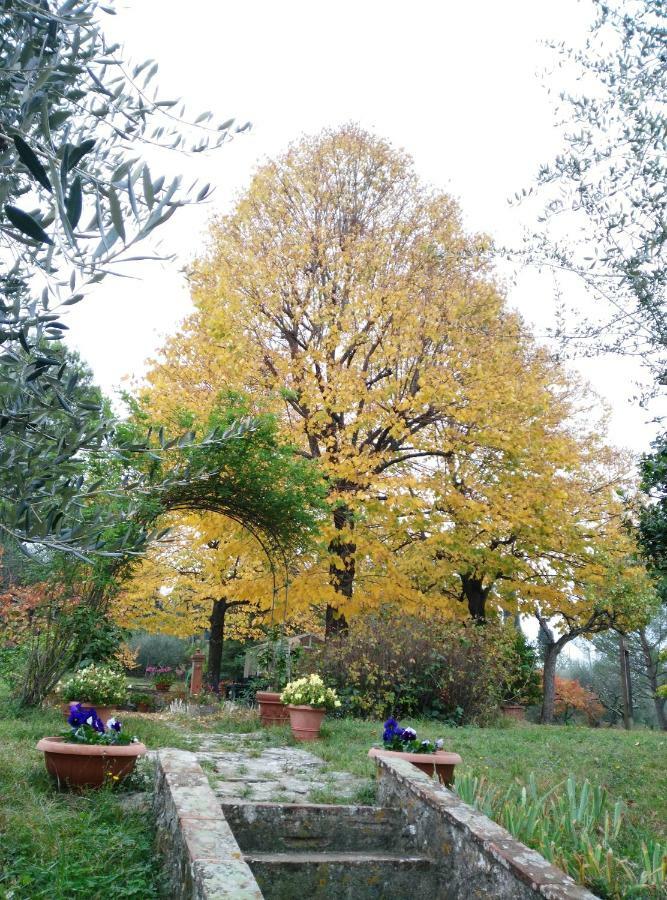 Appartamento Il Salone, Bel Monolocale In Campagna Firenze