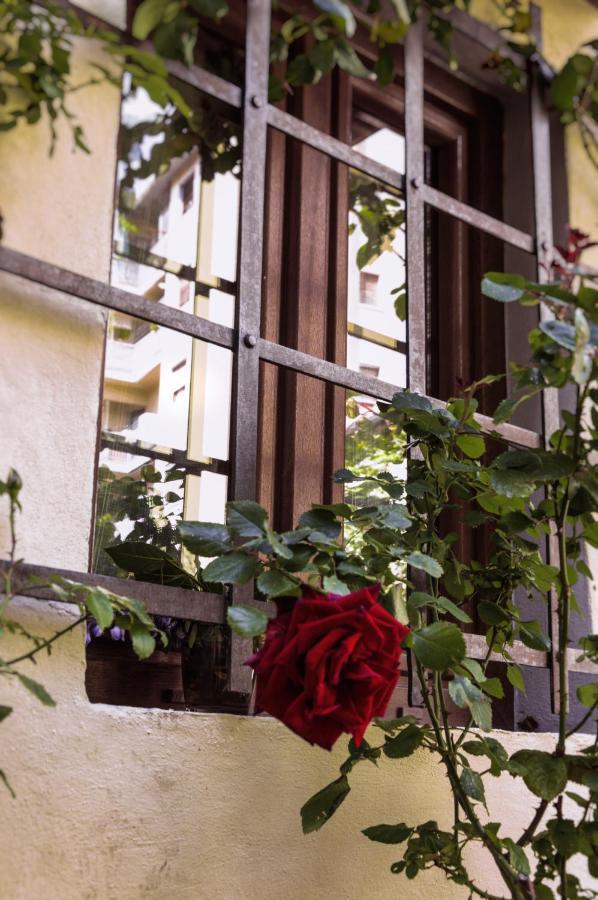 Lovely Nest Near Center Apartment Florenz