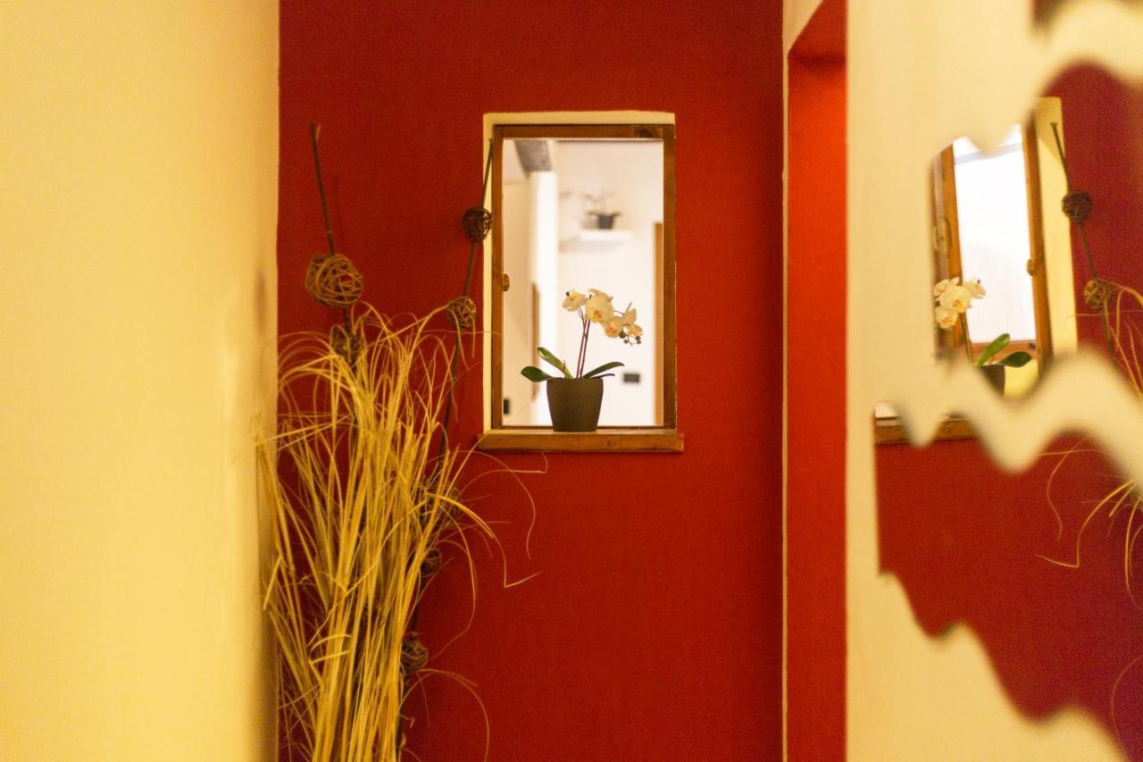 San Frediano District - Apartment