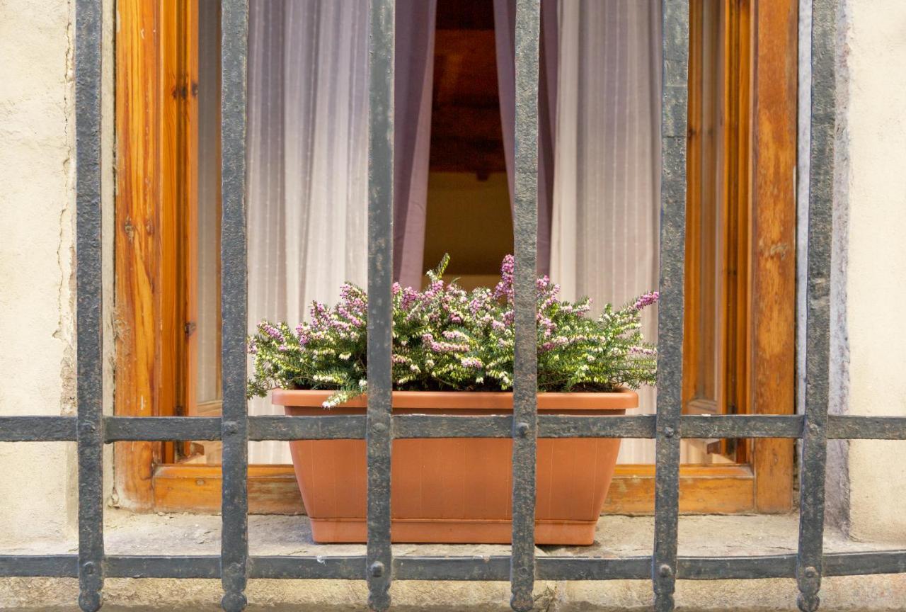 San Frediano District - Apartment *