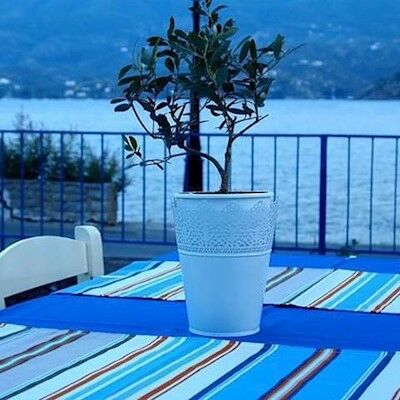 Bed & Breakfast Convitto Della Calza - Casa Per Ferie Firenze