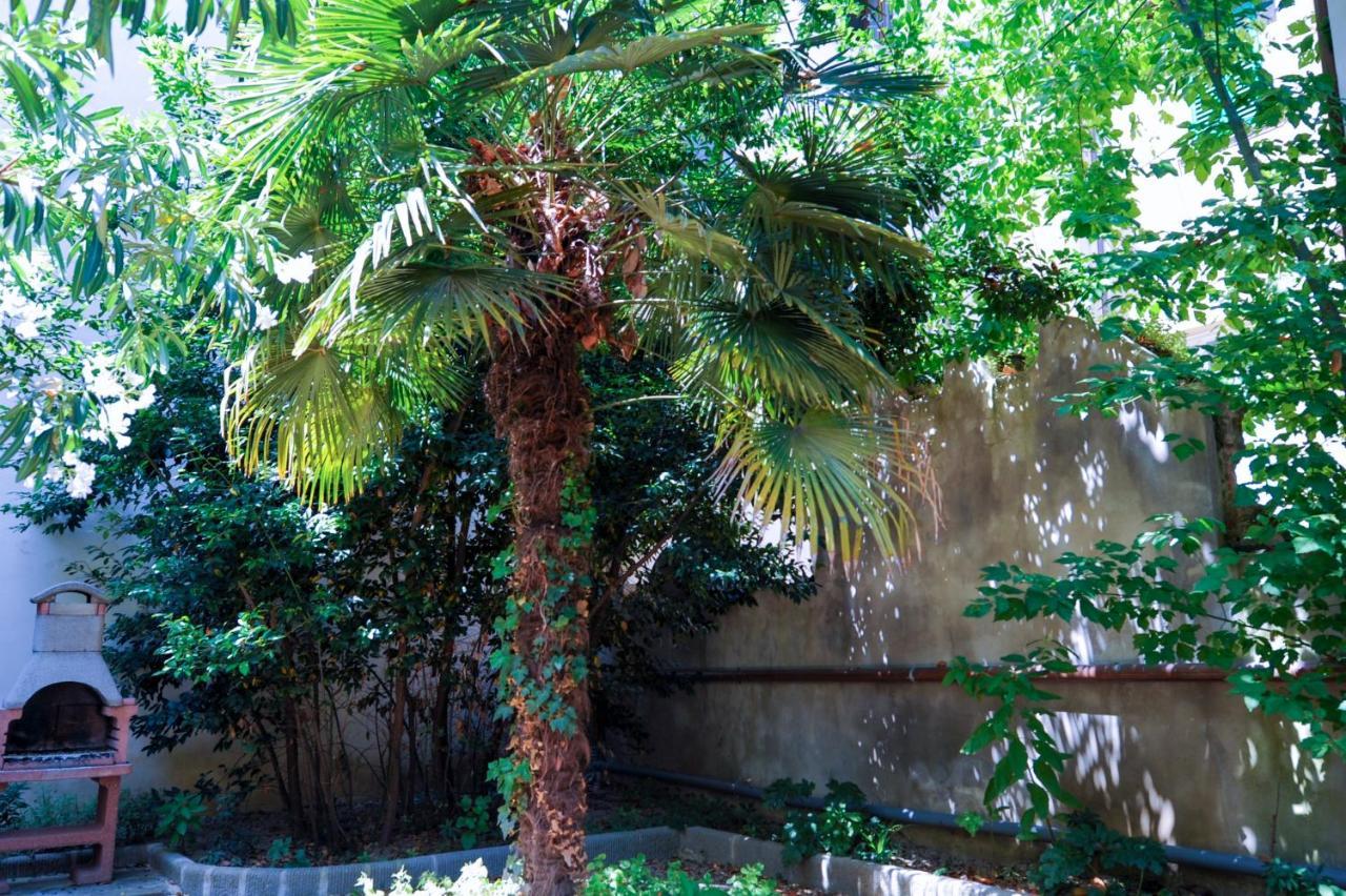 Acacia Artemisia-angelica Apartment Florence
