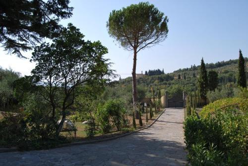 Ulivi Di Castello Acomodação com café da manhã  3*