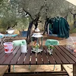 Nelgiardino