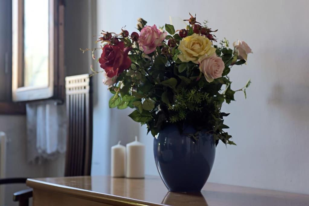 Apartment Cozy With Private Garden - City Center - *