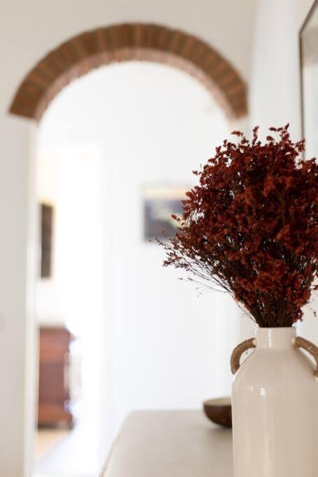 Luxury In The Center Of Florence