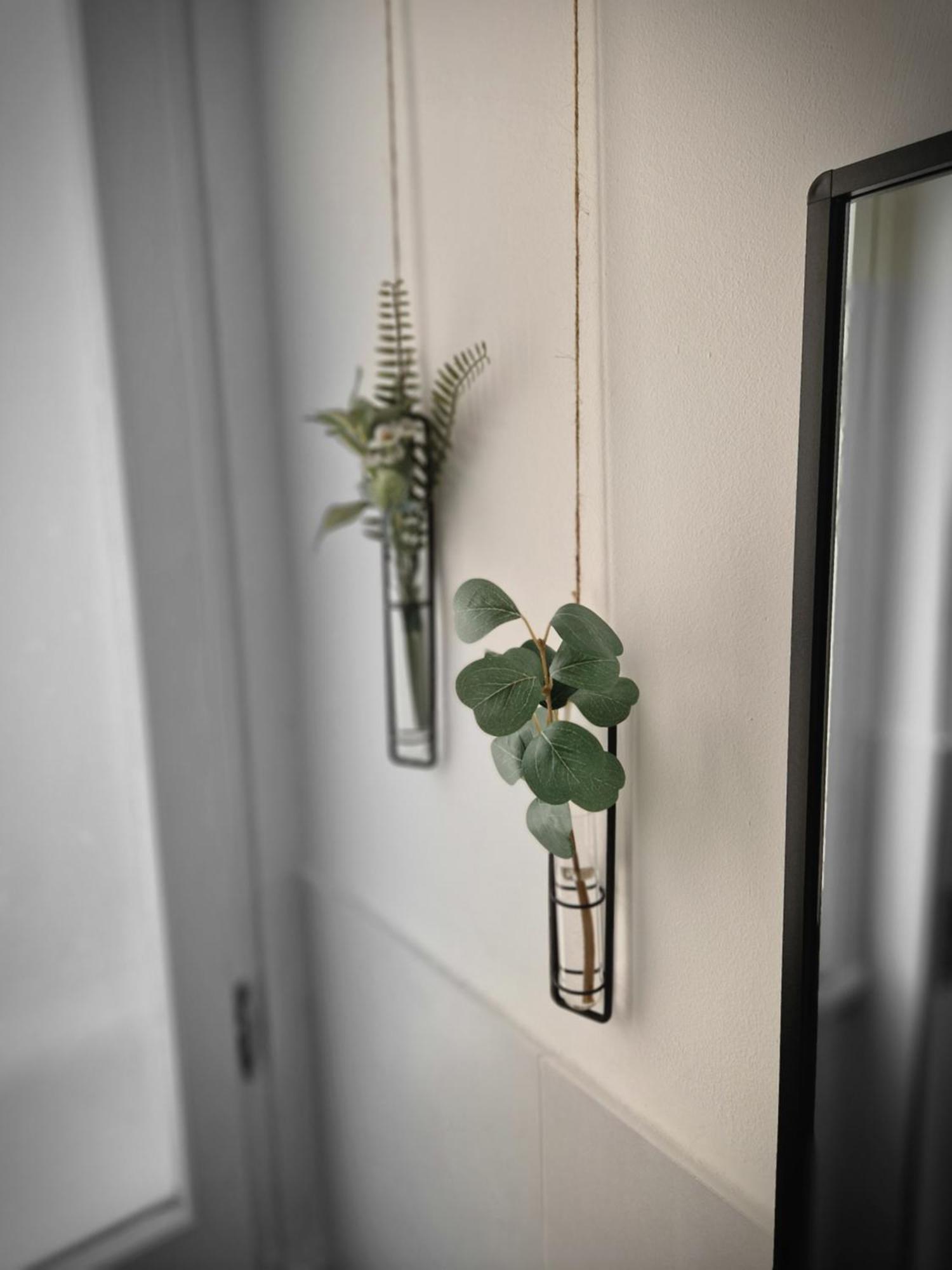 Guest house Stradivarious