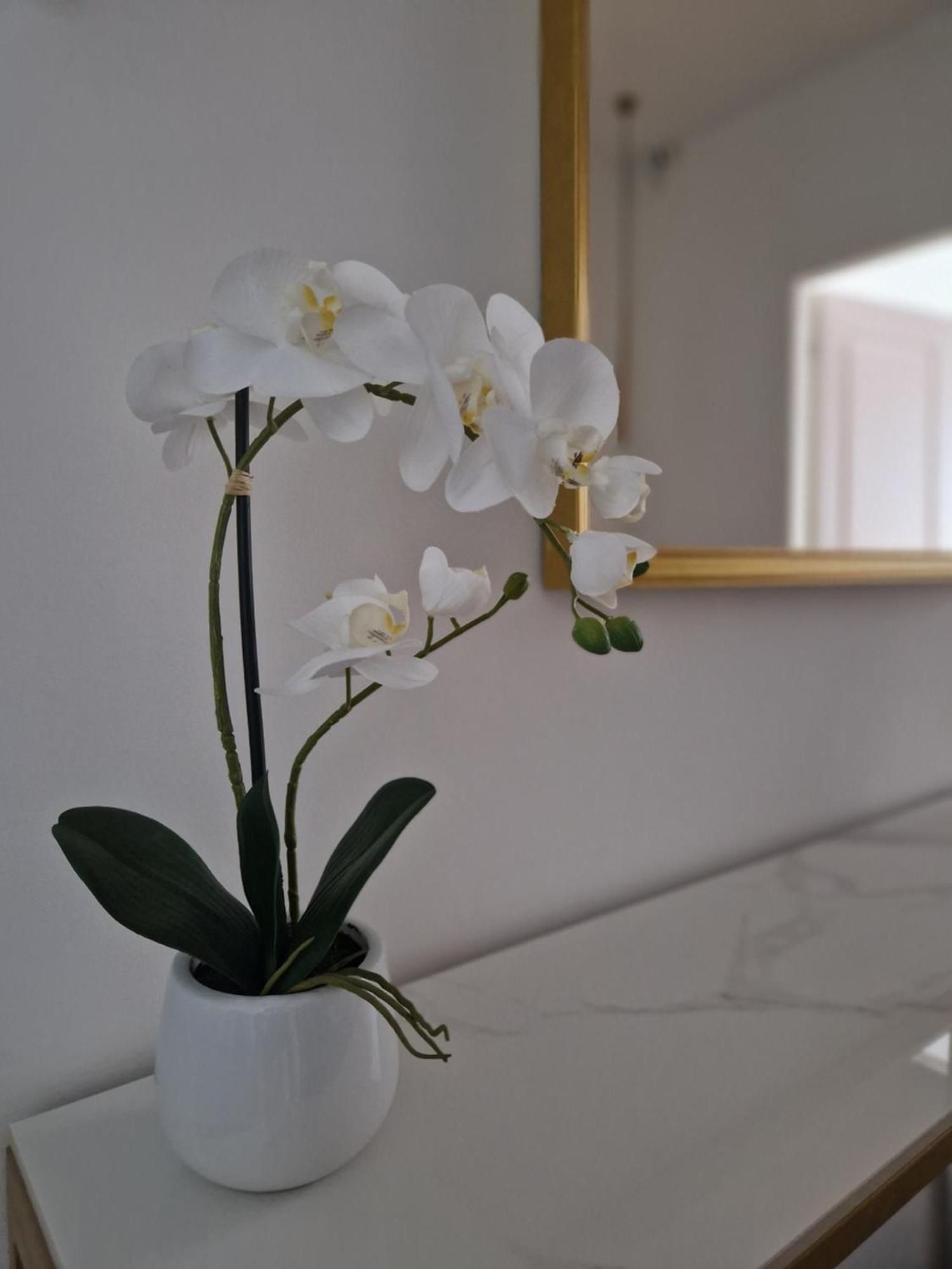 Guest house Stradivarious