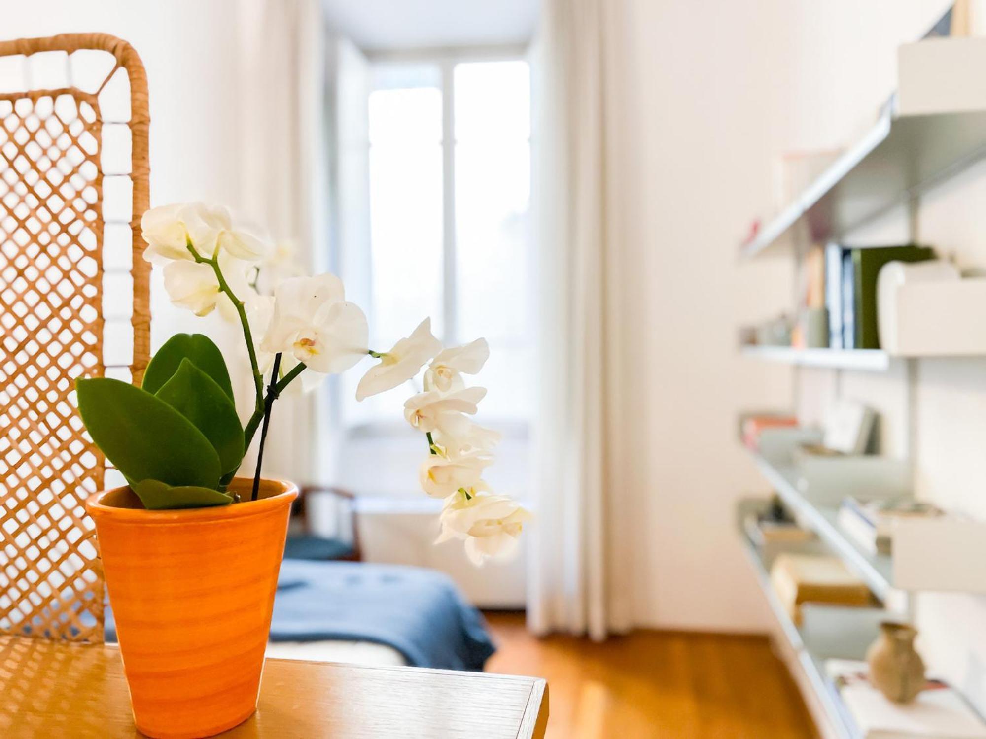 Stile & Comfort Near P. Signoria Apartamento