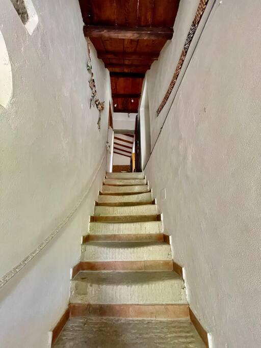 Il Colle - Pino Apartment Florence