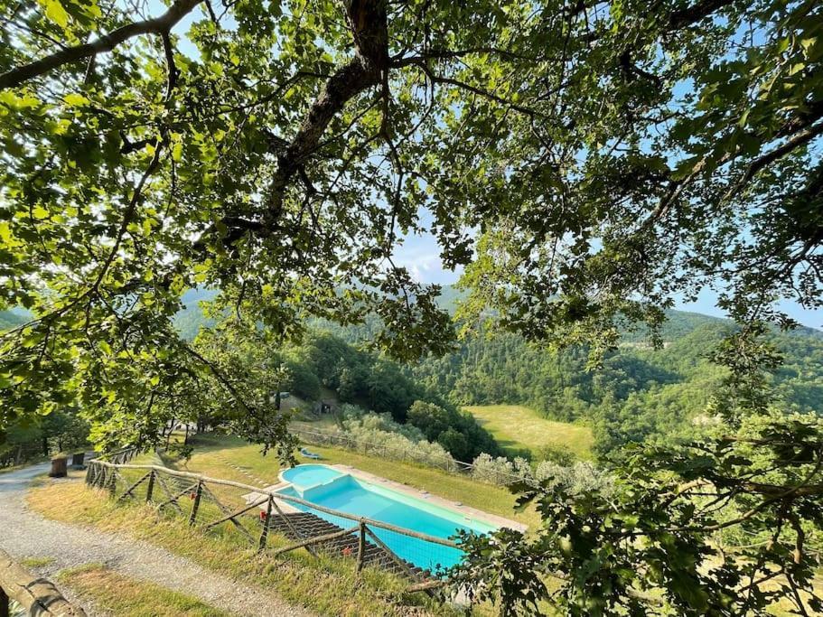 Apartment Il Colle - Pino Florence