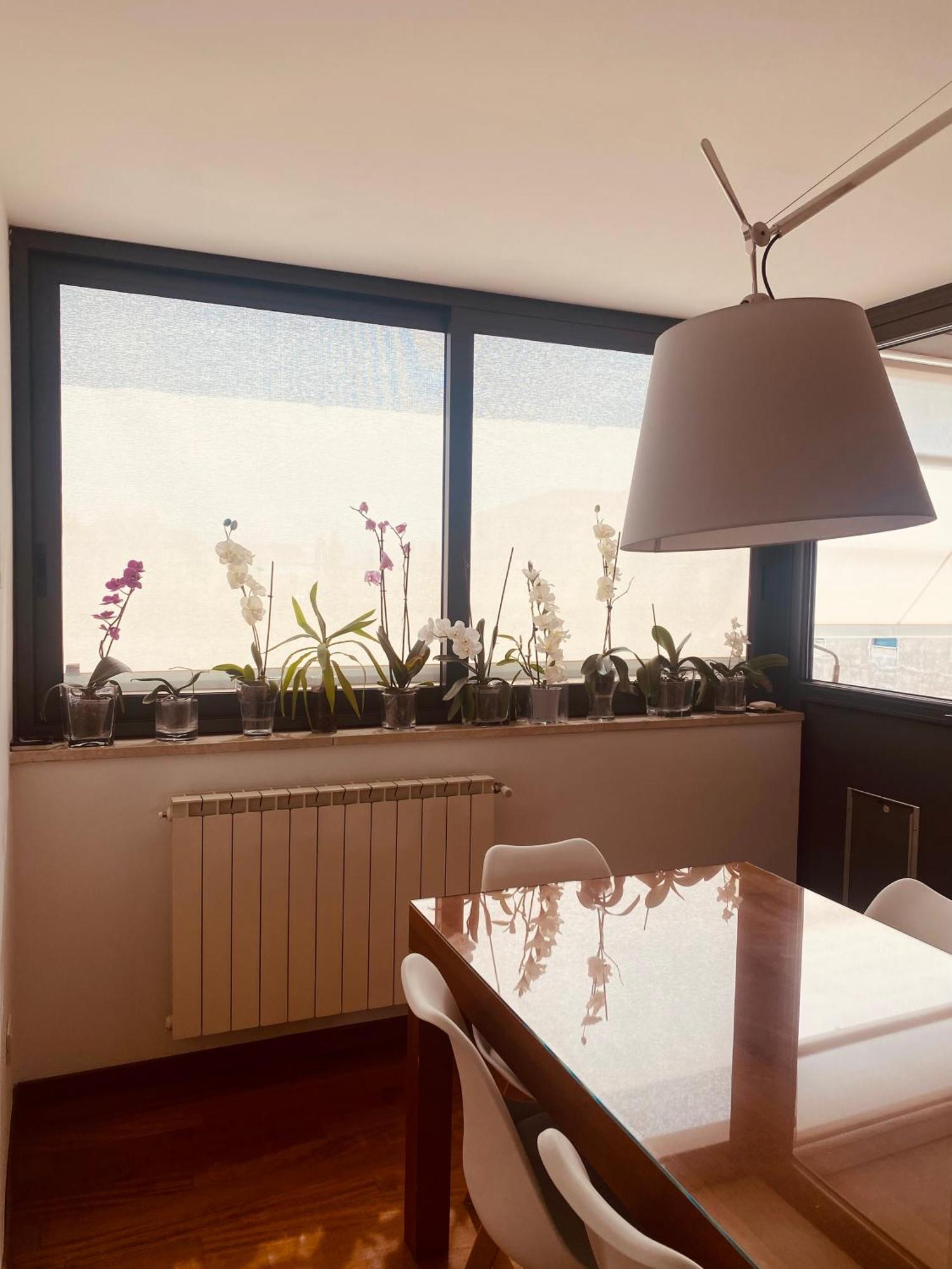 La Casa Di Dani * Florença