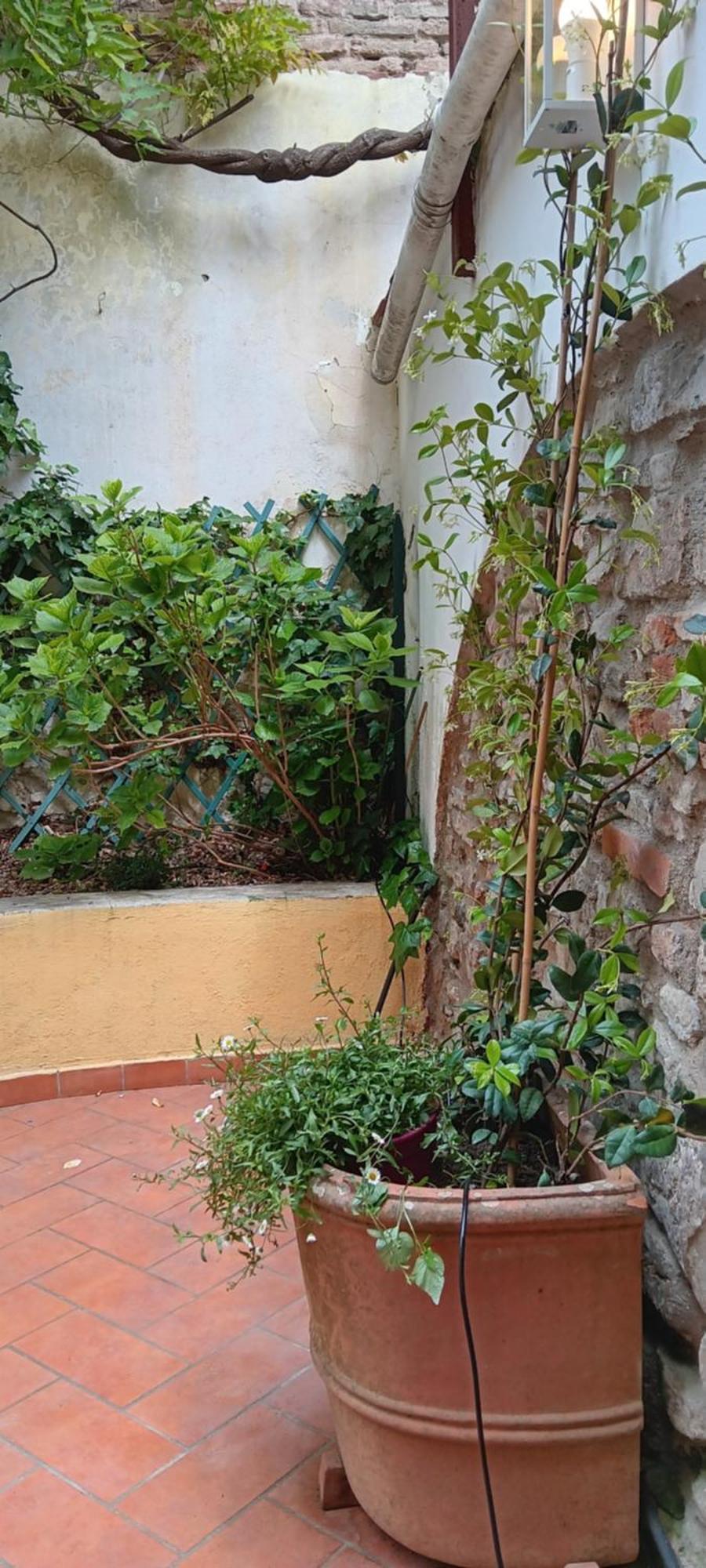 Appartement Casa Il Patio Florence