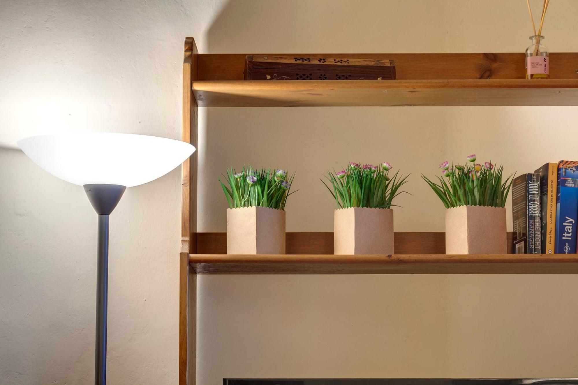 Apartment Mamo - Academy House