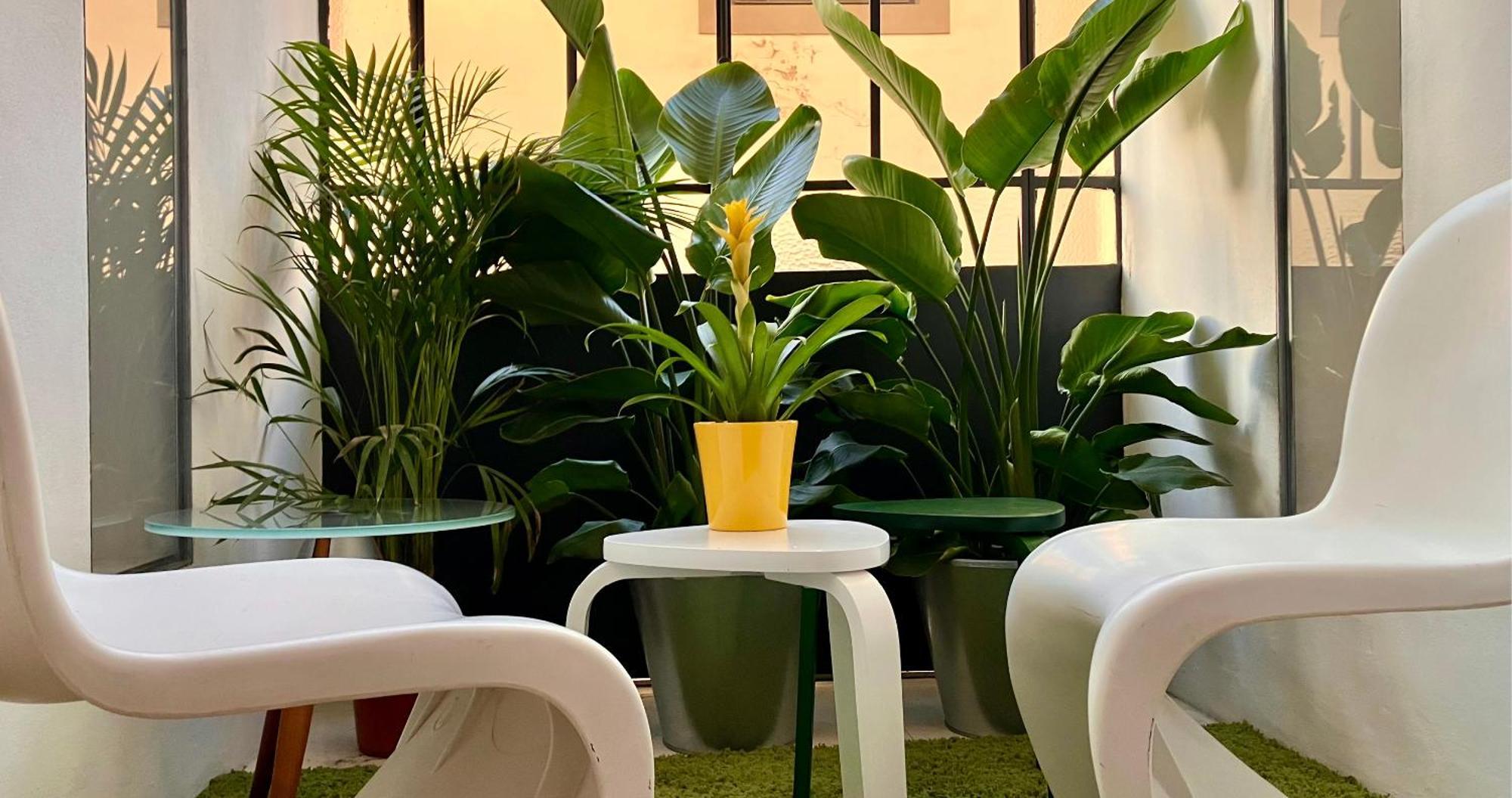Appartement Lusso A Con Palestra