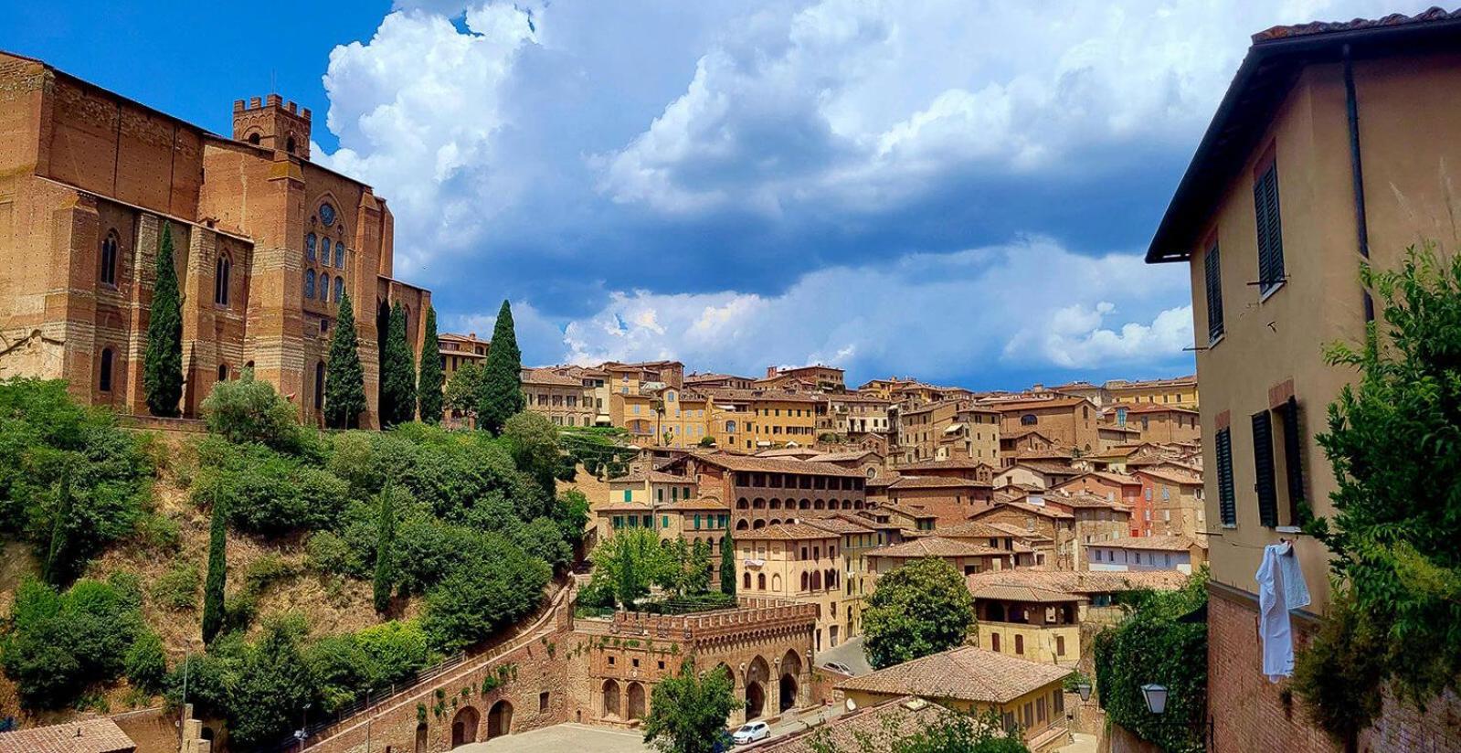 Leone * Florença
