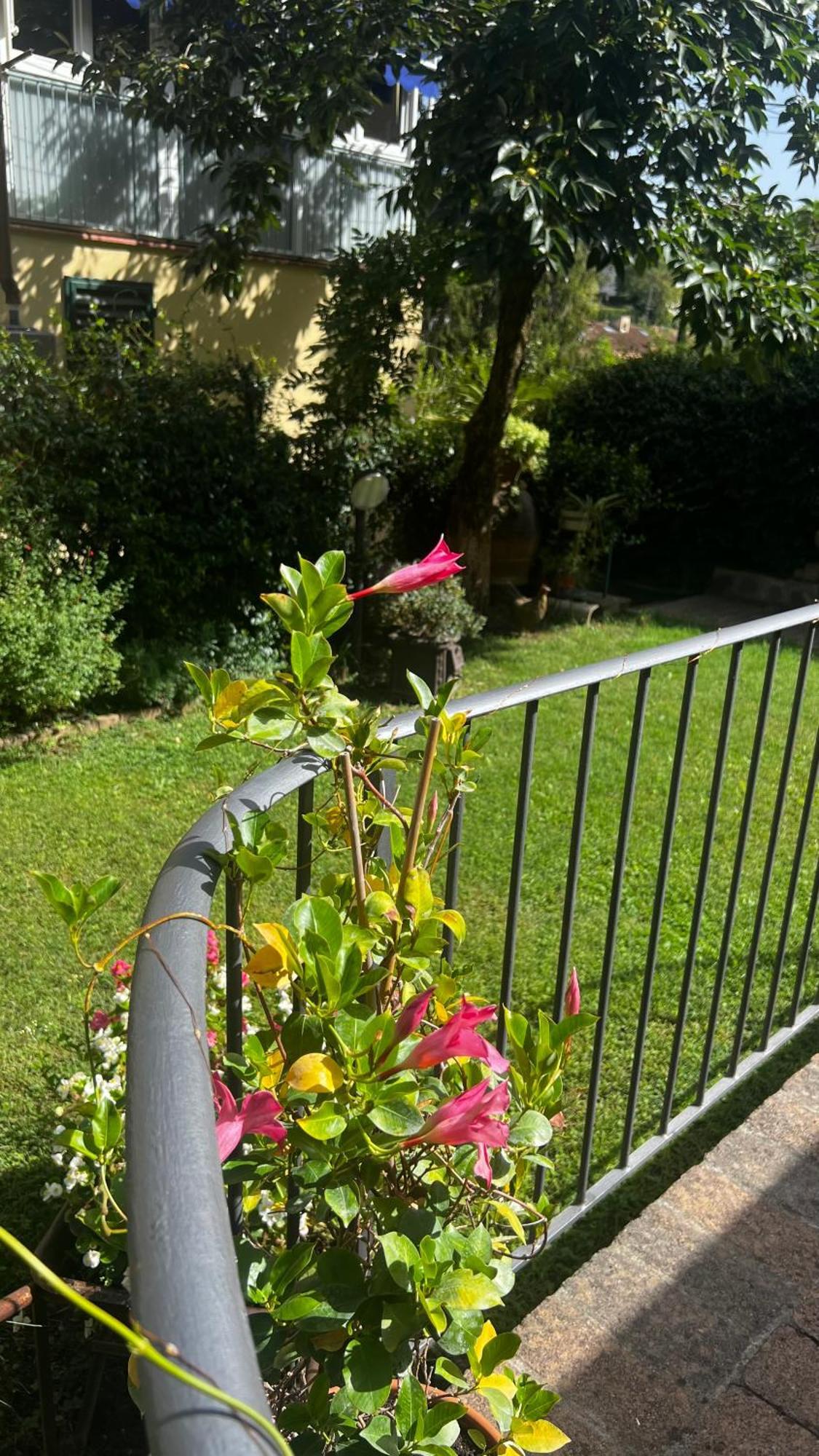 La Serra Sognante, Un Rifugio Incantevole Tra Natura E Relax Holiday home *