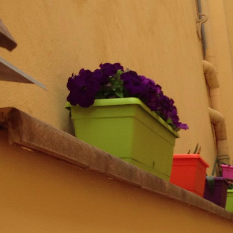 Cosy House 3* Firenze