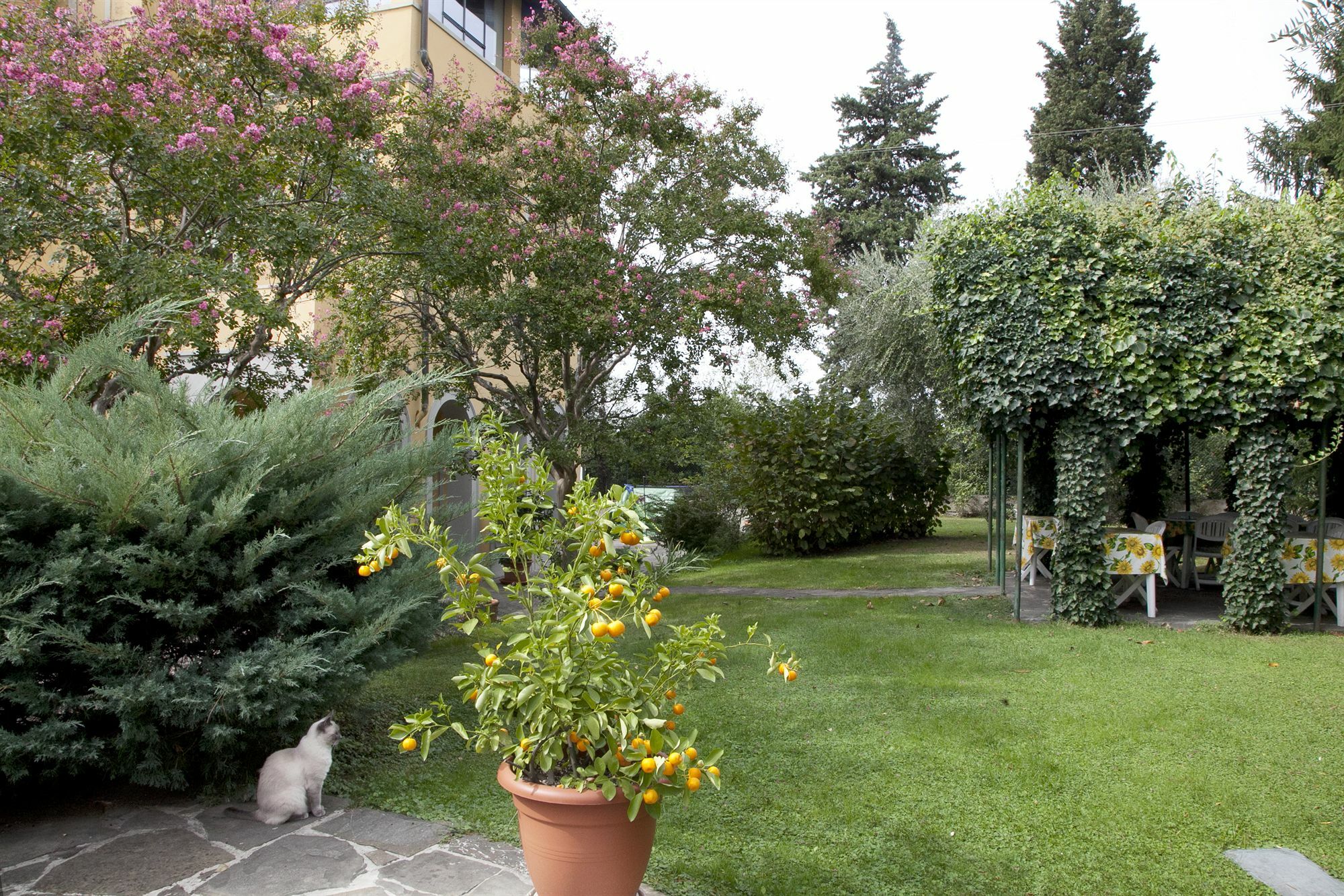 La Sosta Bed & Breakfast