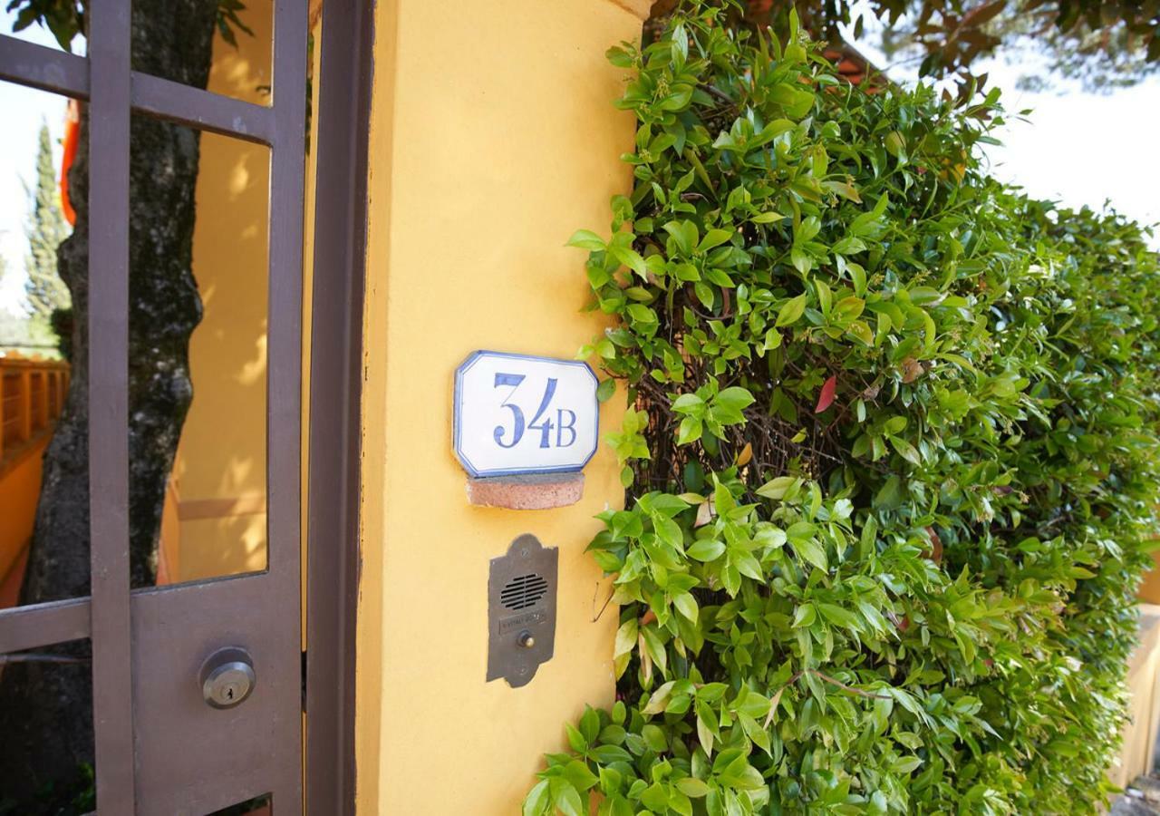 Nest * Florenz