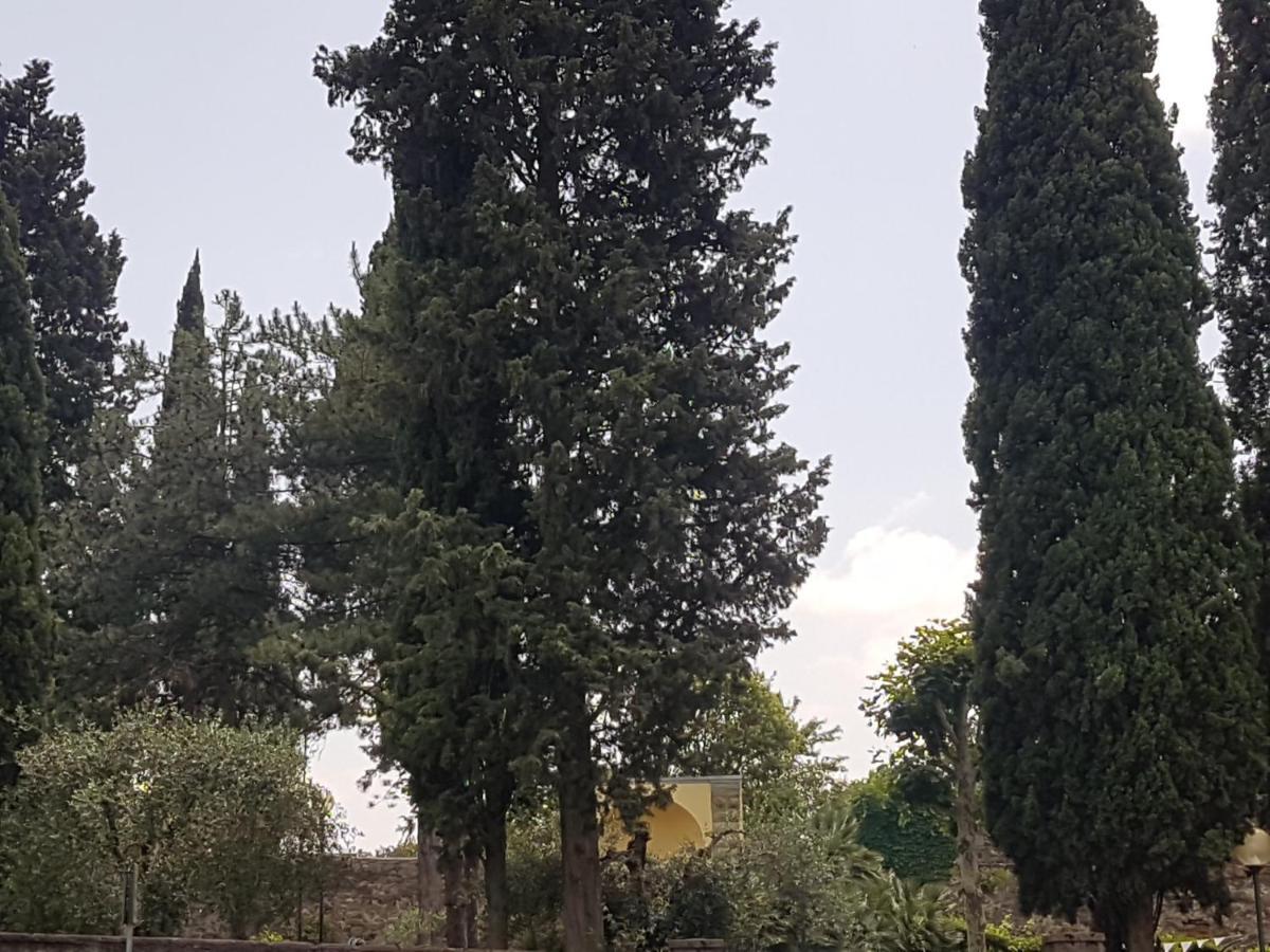 Piccolo Poggio *