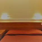 Hotel Palazzuolo