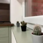 Rifredi Apartament