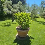Villa Il Pino