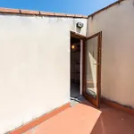 The Luxor Suites - Corsica