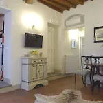 Pavone