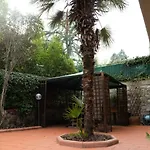 Green Corner Apartment In Florence City