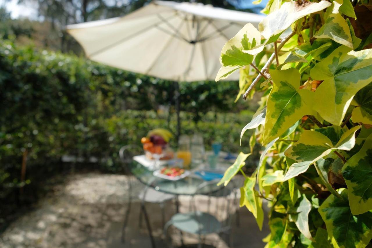 Il Leone Bed & Breakfast Florence