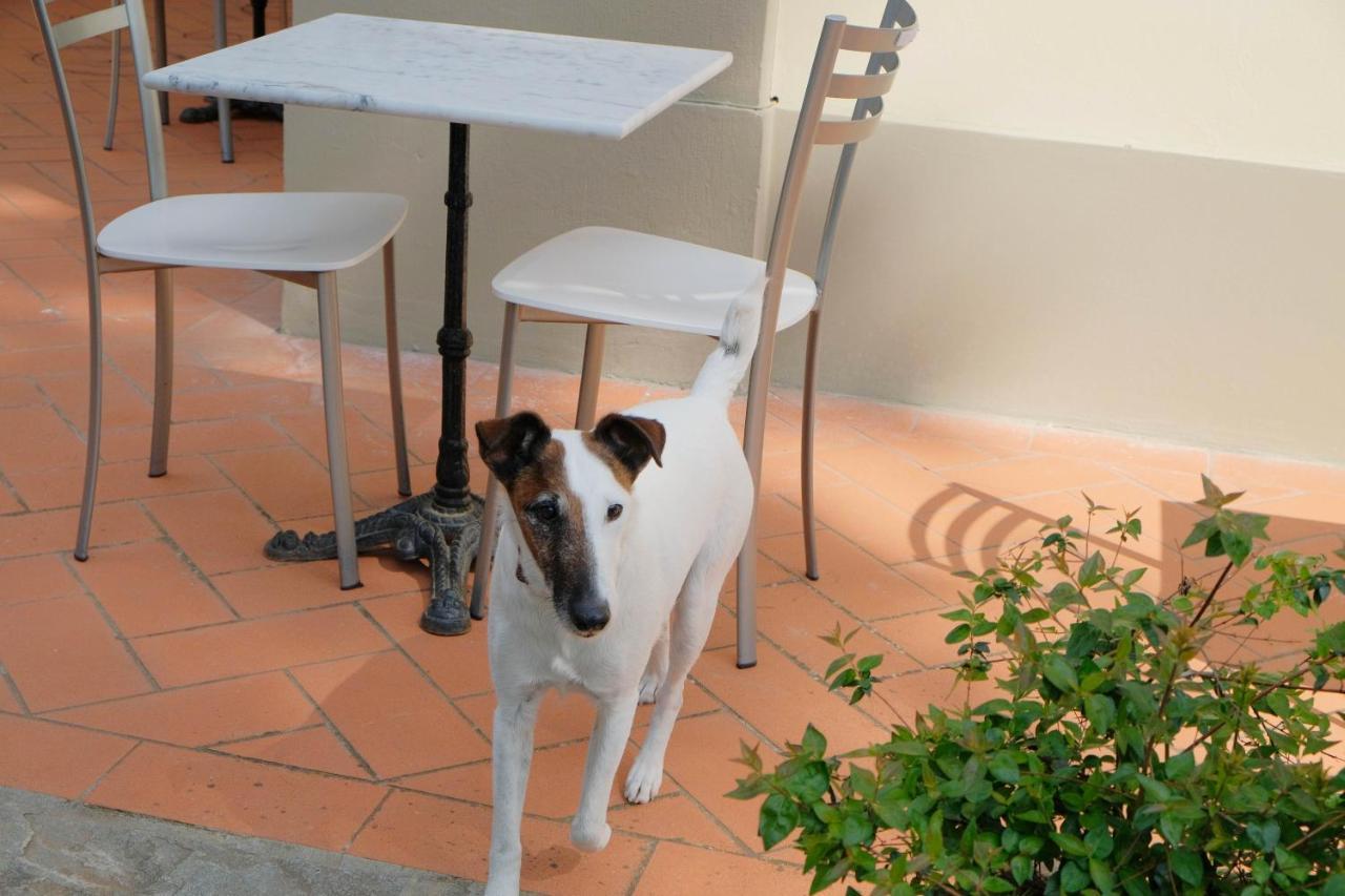 Il Leone Bed & Breakfast Florence