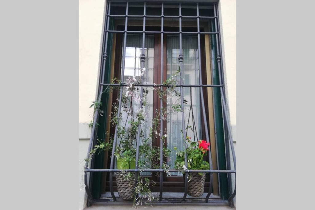 Flower Garden Vicino Al Centro Apartment