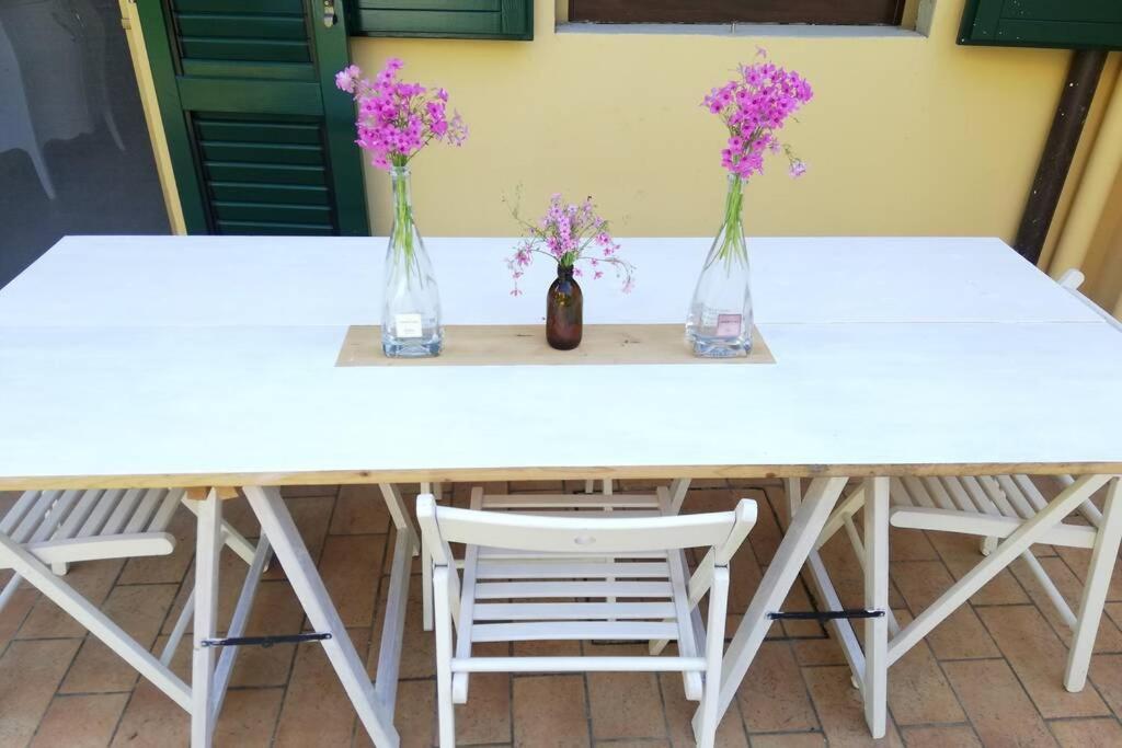 Apartment Flower Garden Vicino Al Centro