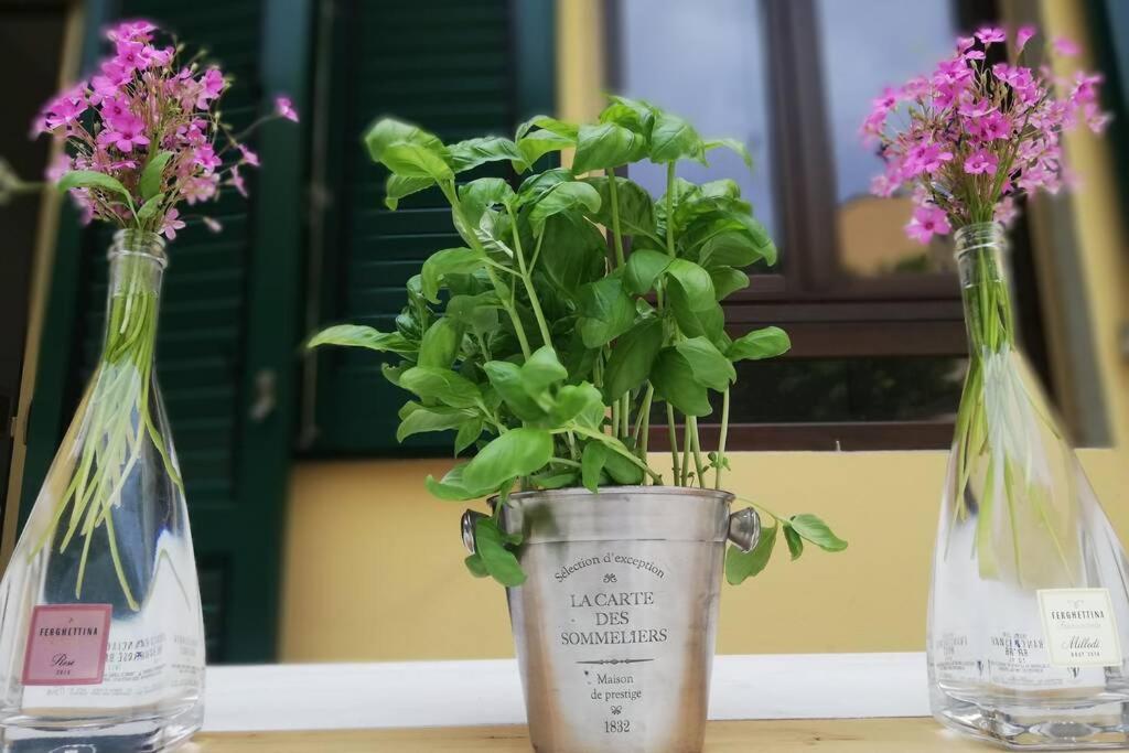 Flower Garden Vicino Al Centro Apartment *