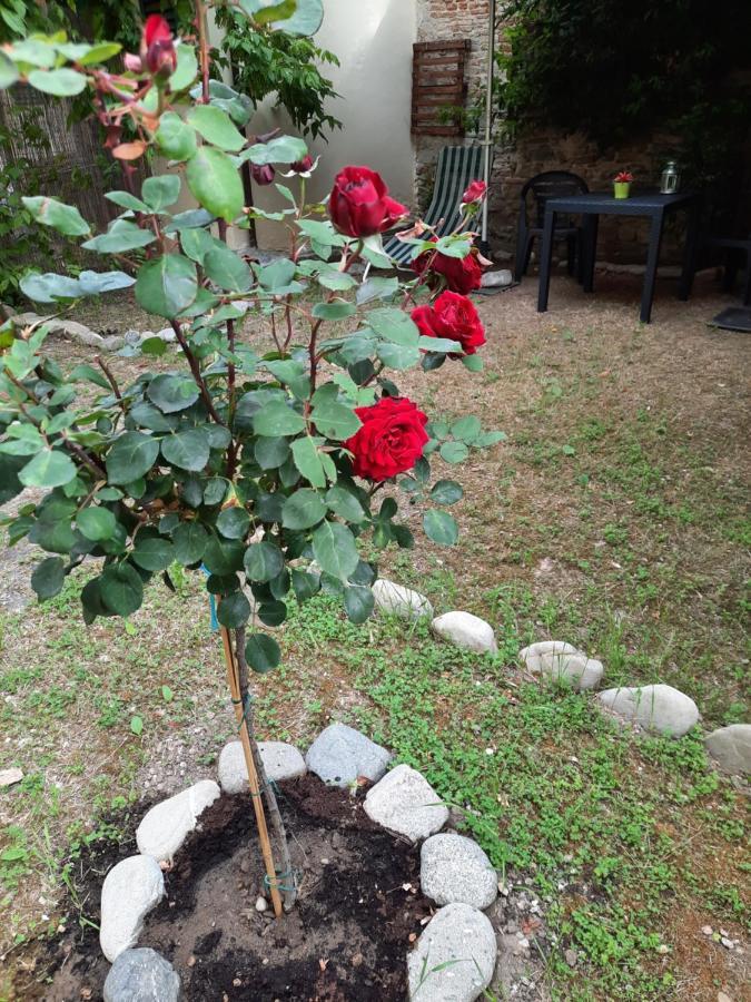 Au Jardin De *