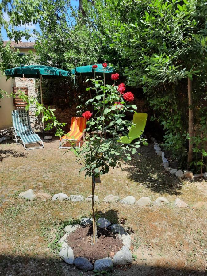 Apartment Au Jardin De