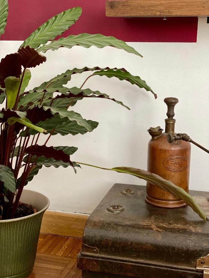Monteverdi L'arancio Bed & Breakfast