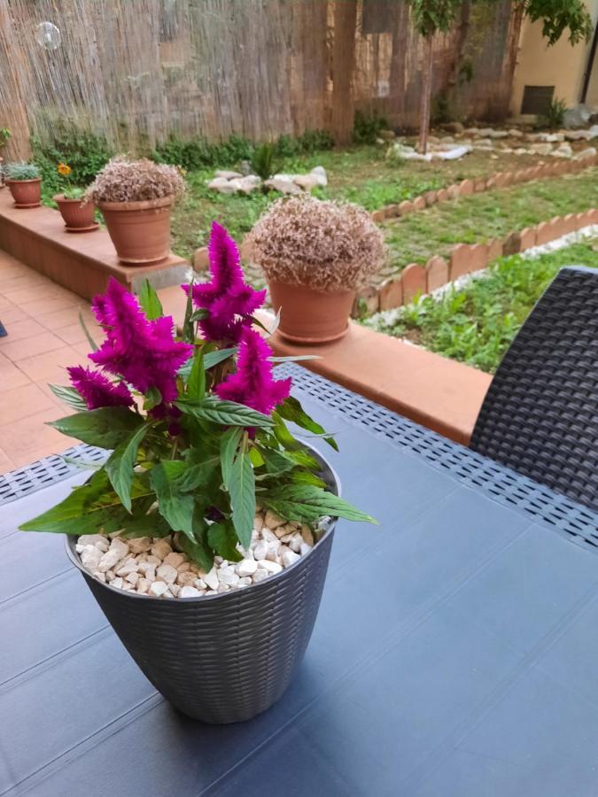 Au Jardin De Apartment