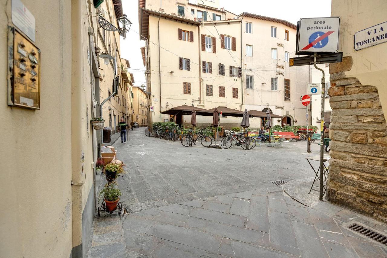 Mamo - Toscanella * Firenze