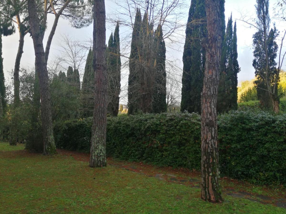 Apartment La Casa Di Duccio Con Parcheggio Gratuito Florence