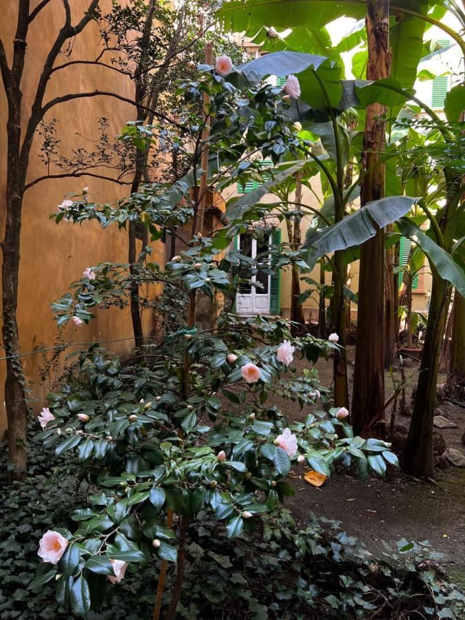 Guest house The Magnificent Maison Du Charme