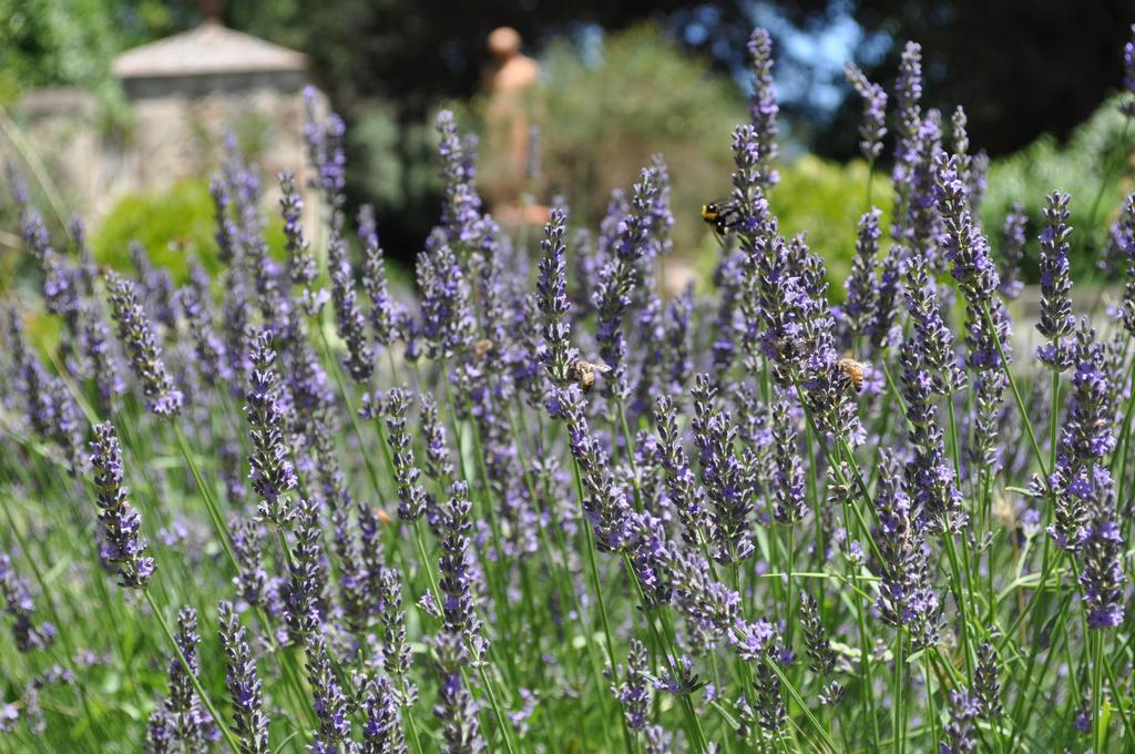 Armonie Di Incontri Bed & Breakfast Florence