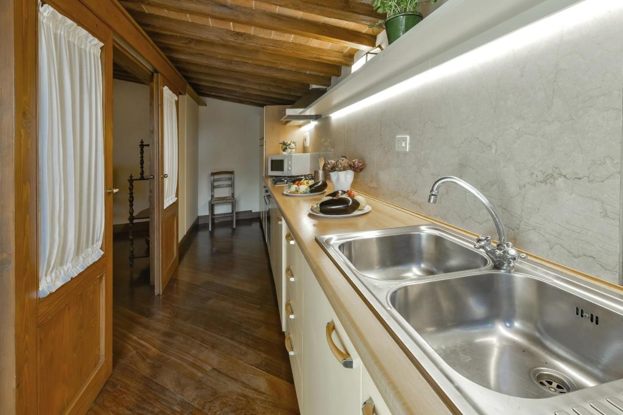 Apartment Buonarroti Big With Terrace In Oltrarno