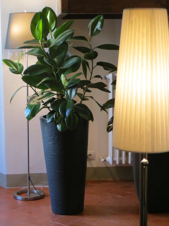 Toscanelli Residenza D'epoca 3* Florença