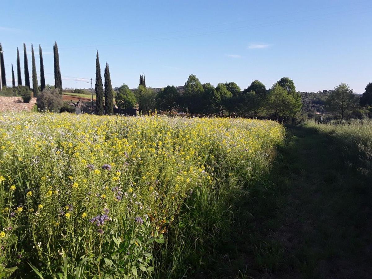Fattoria Di Malavolta Appartement