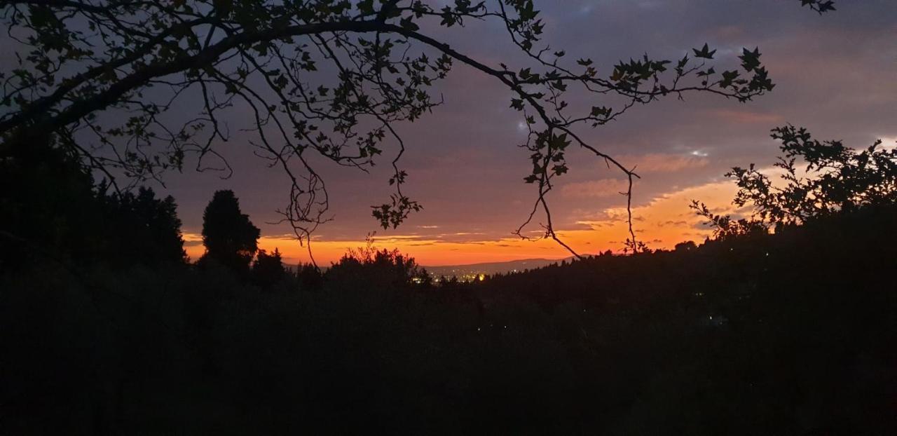 Vakantieboerderij Il Sottolo *
