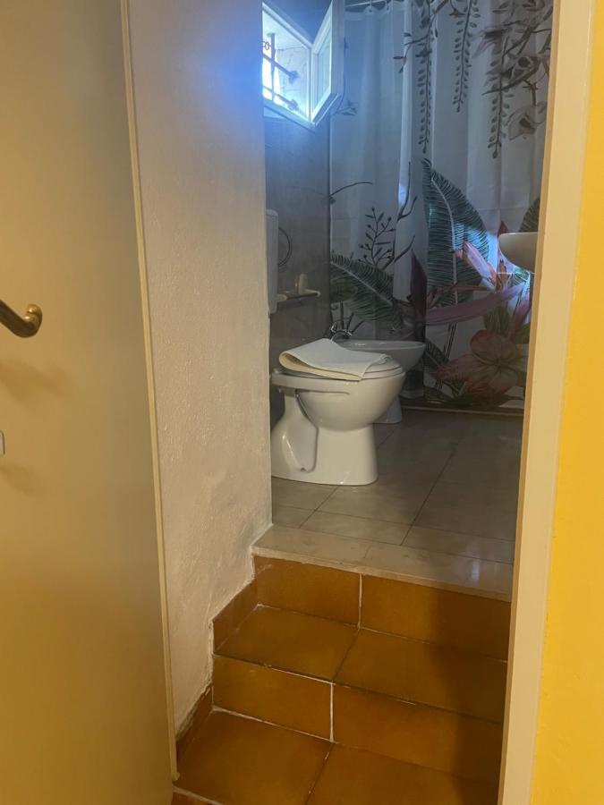 Guest house House Elena